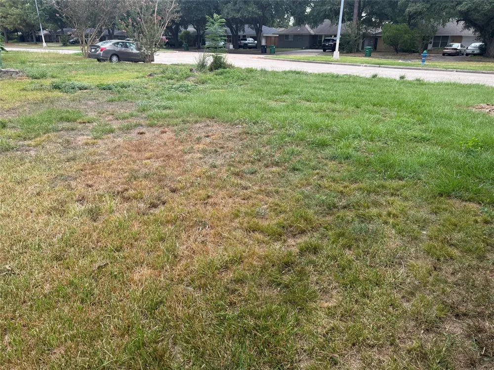5206 W 43 Houston, TX 77092