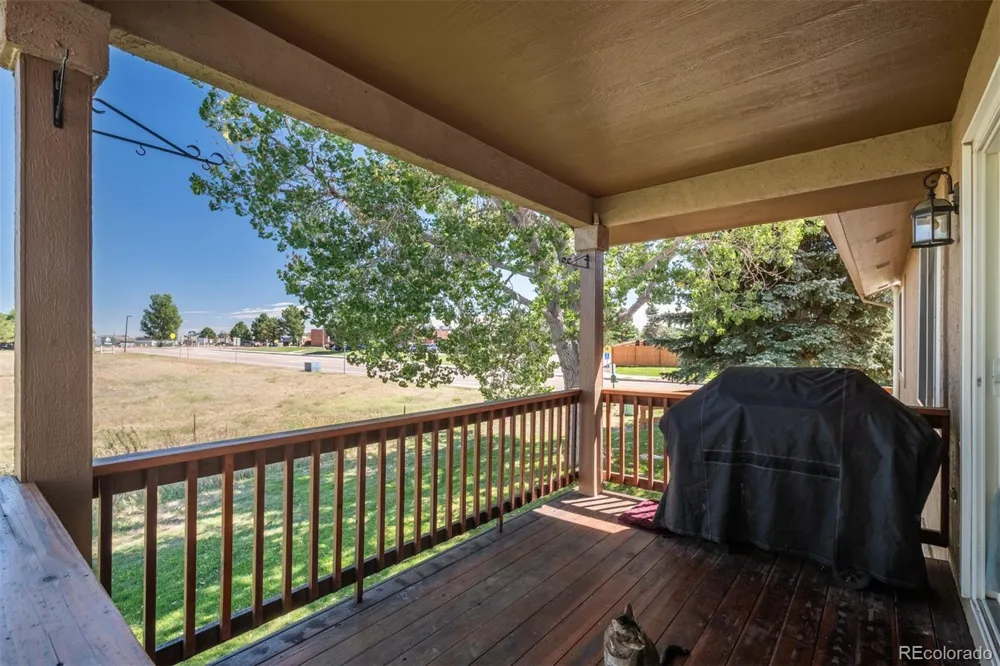 251 Las Lunas Street Castle Rock, CO 80104