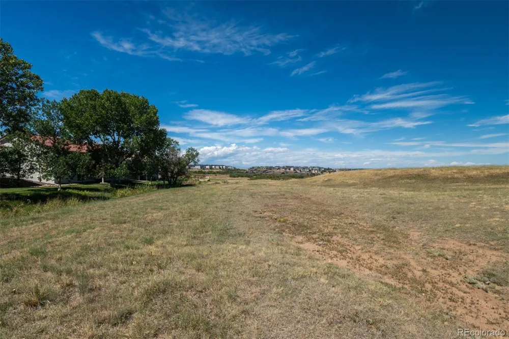 251 Las Lunas Street Castle Rock, CO 80104