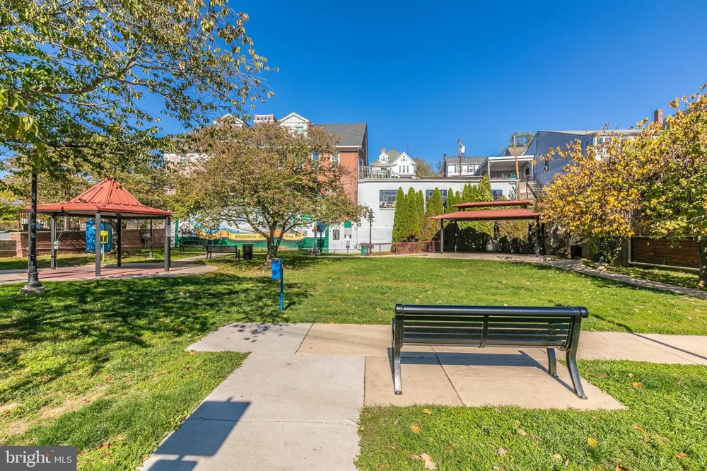 1221 LONG FARM LANE Brunswick, MD 21716