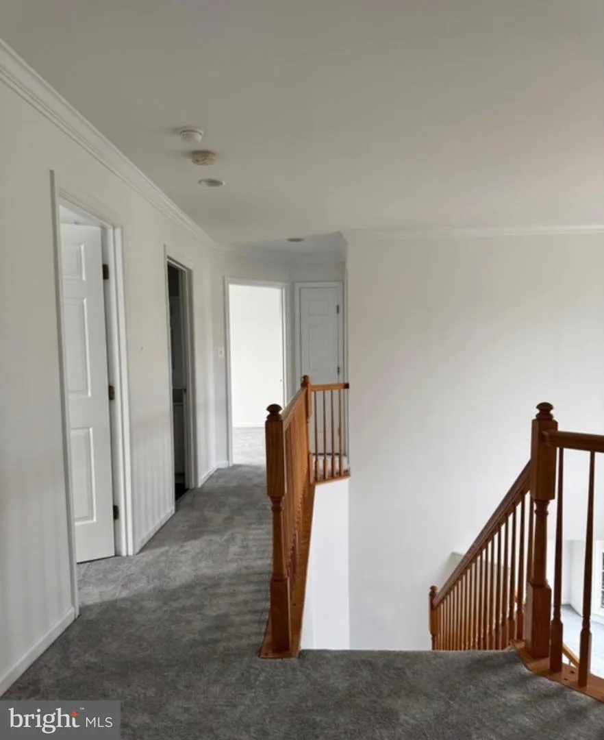 5312 JOSHUA TREE CIRCLE Fredericksburg, VA 22407