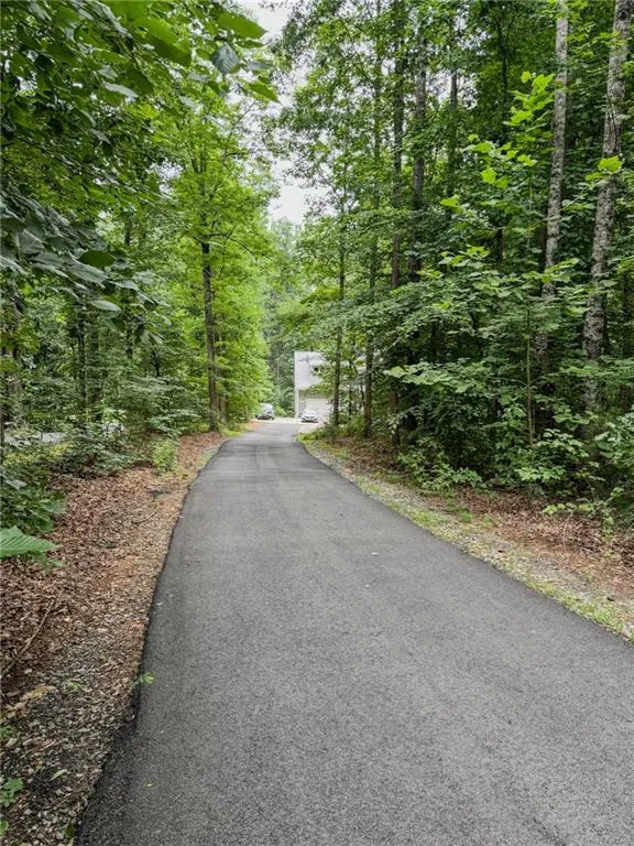 1250 Blue Ridge Overlook Dawsonville, GA 30534