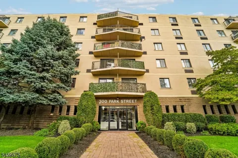 300 Park St #1F Unit 1F