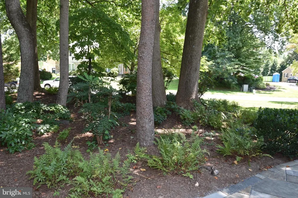 11202 OLD CARRIAGE ROAD Glen Arm, MD 21057