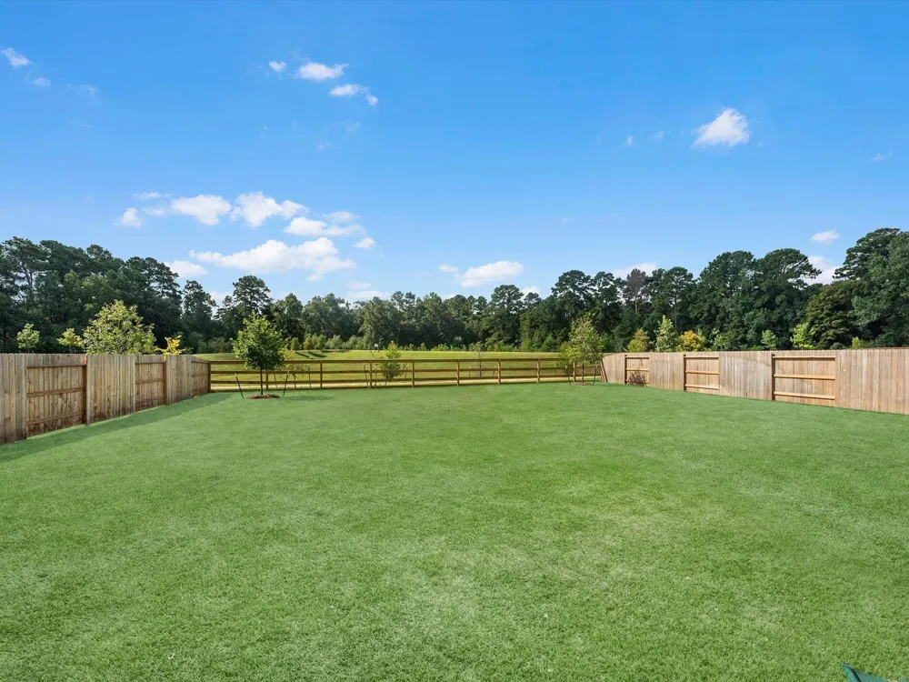 14323 Moonlit Creek Court Montgomery, TX 77316