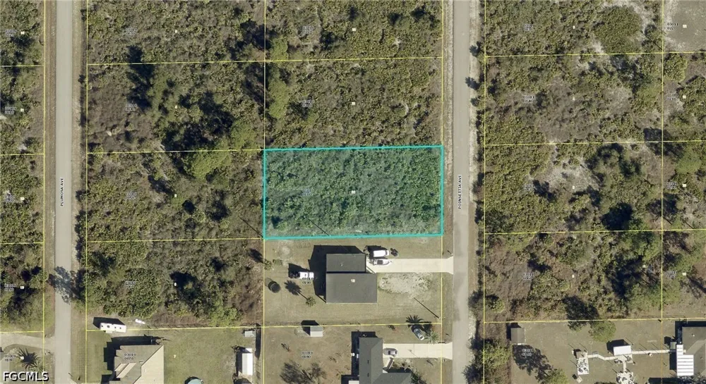 Poinsettia Avenue Lehigh Acres, FL 33972