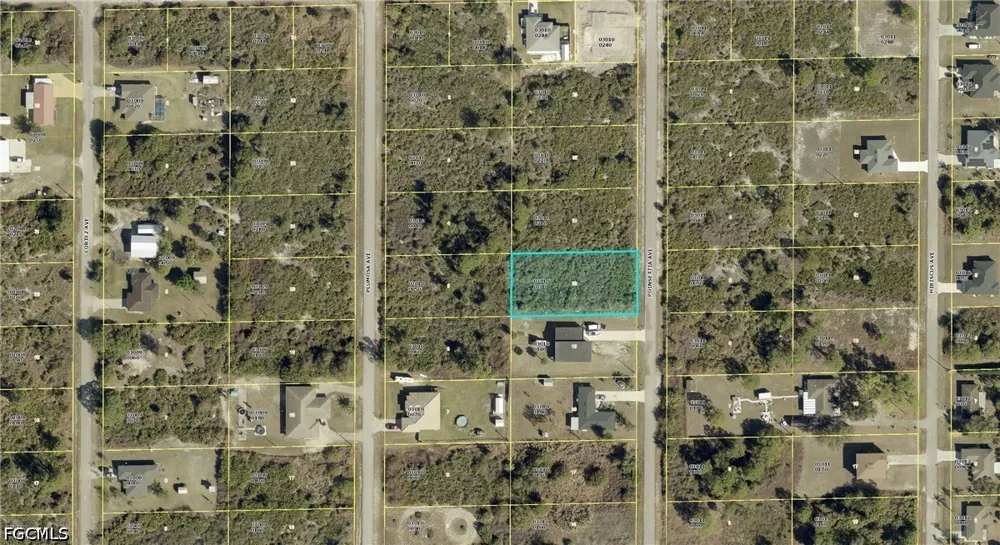 Poinsettia Avenue Lehigh Acres, FL 33972