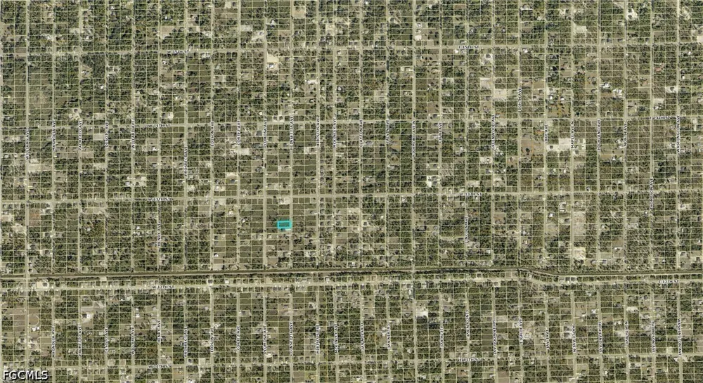 Poinsettia Avenue Lehigh Acres, FL 33972
