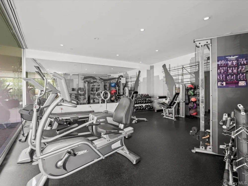 519 Borden Avenue #1H Long Island City, NY 11101