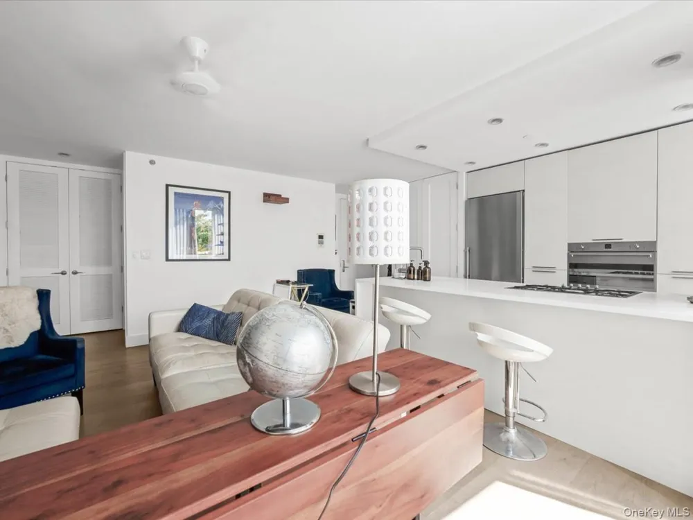 519 Borden Avenue #1H Long Island City, NY 11101