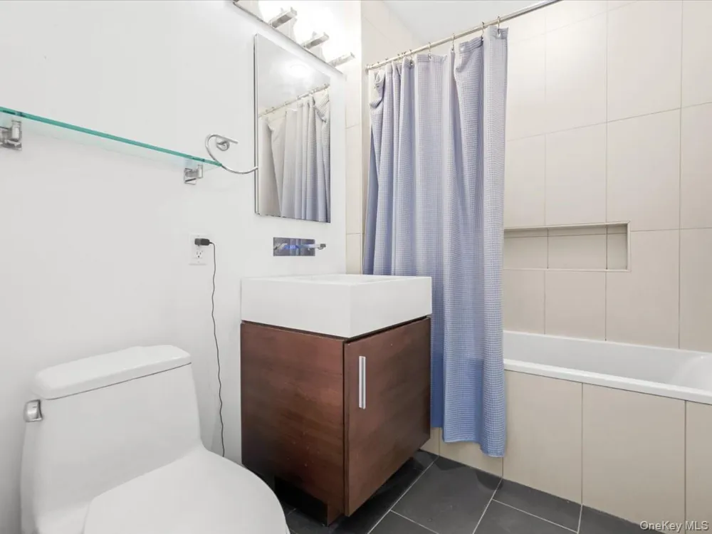 519 Borden Avenue #1H Long Island City, NY 11101