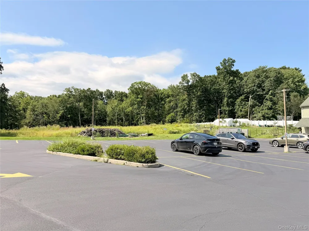 185 Grange Road #Suite 4 Otisville, NY 10963