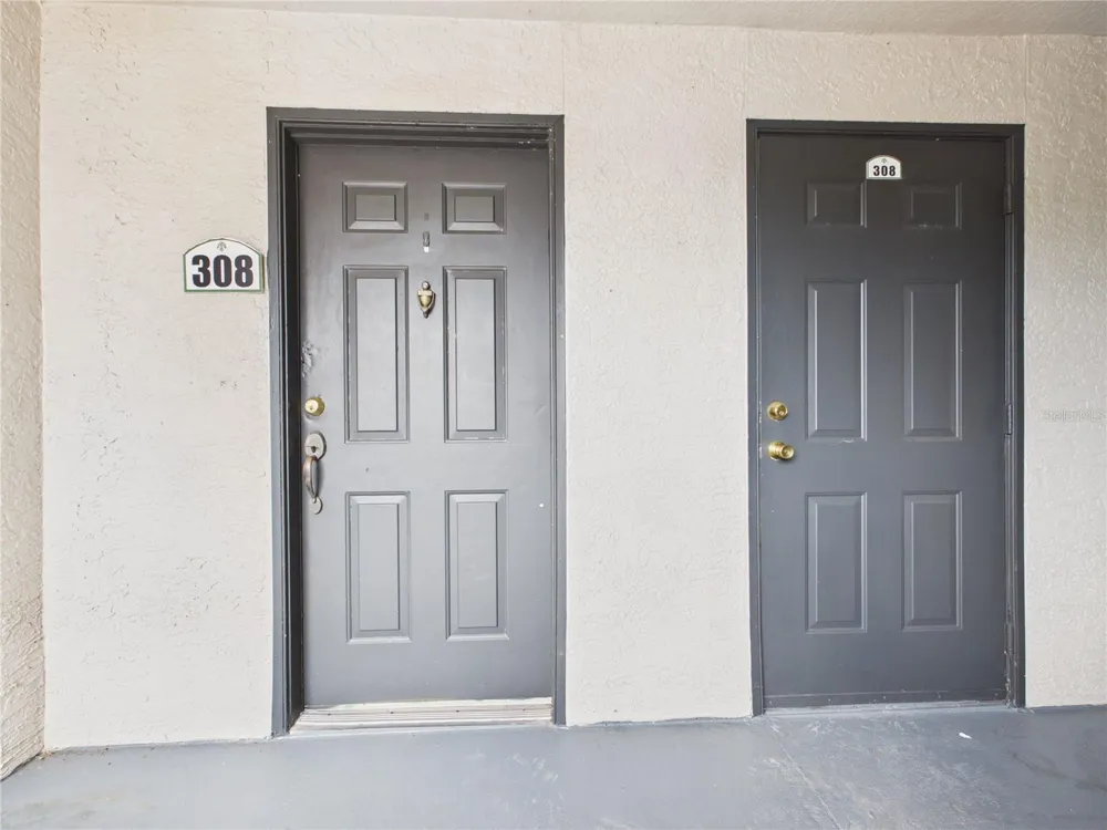 8513 LUCUYA WAY #308 Temple Terrace, FL 33637