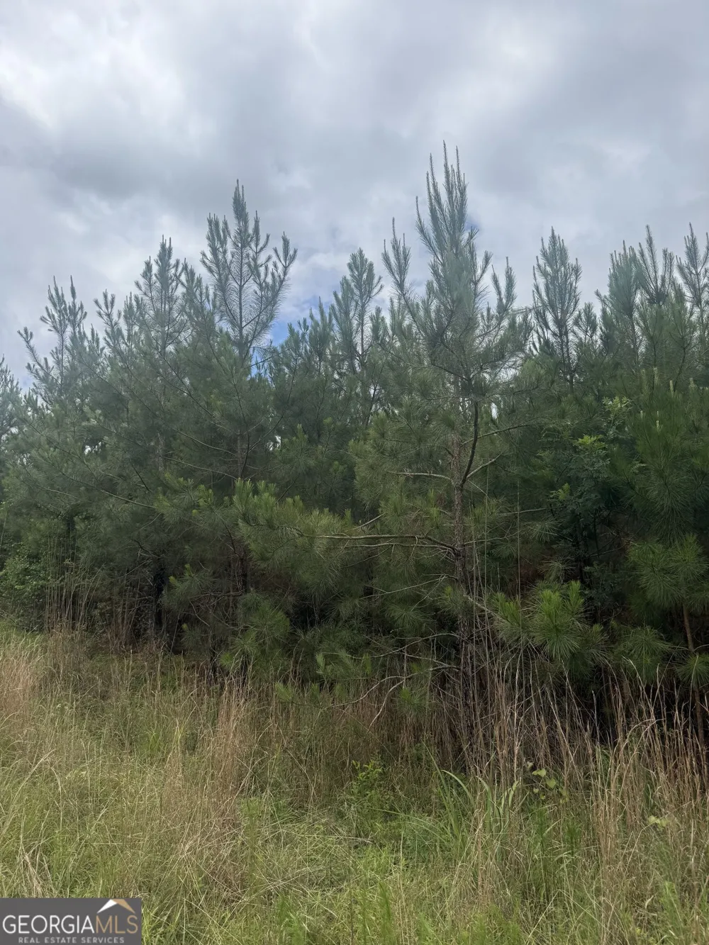 0001 Sandy Cross RD Crawfordville, GA 30631