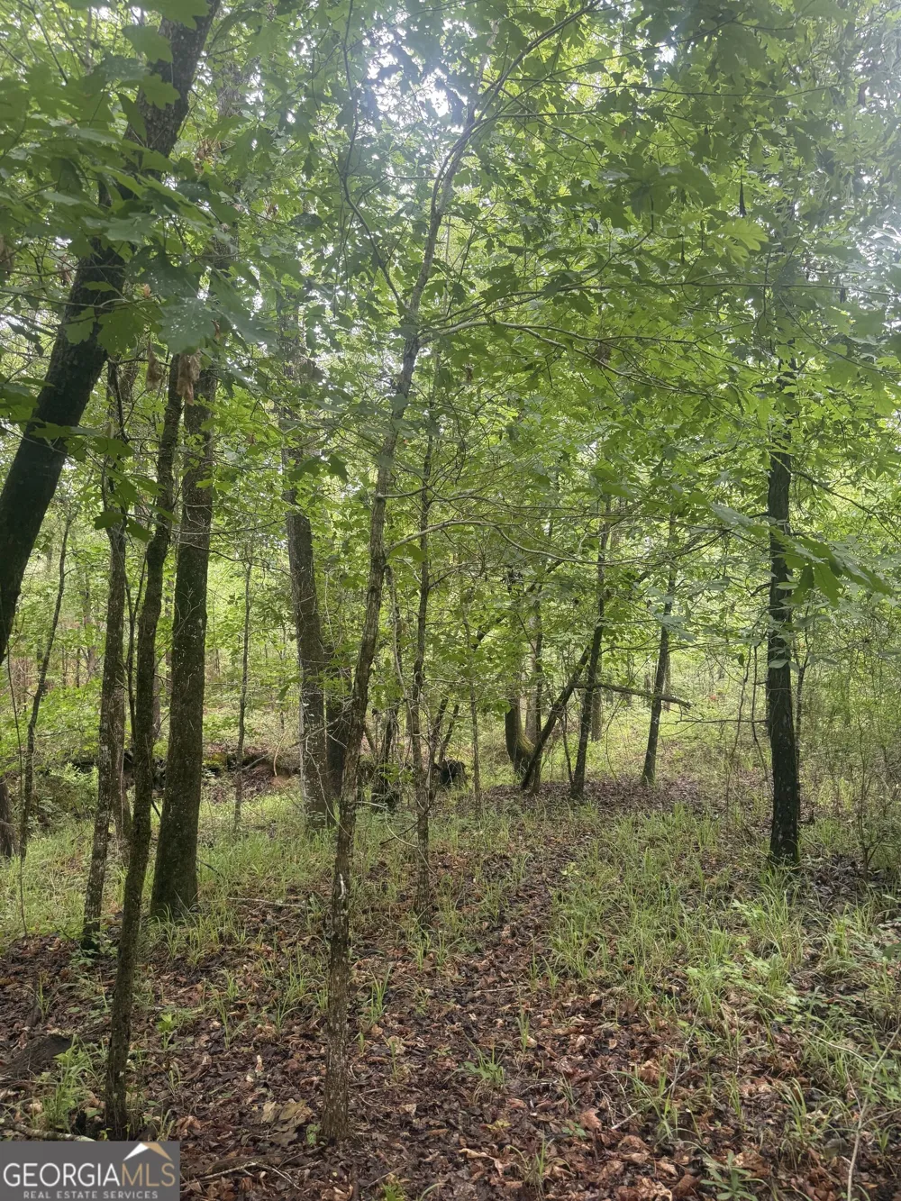0001 Sandy Cross RD Crawfordville, GA 30631