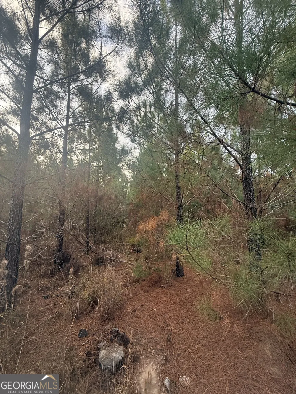 0001 Sandy Cross RD Crawfordville, GA 30631