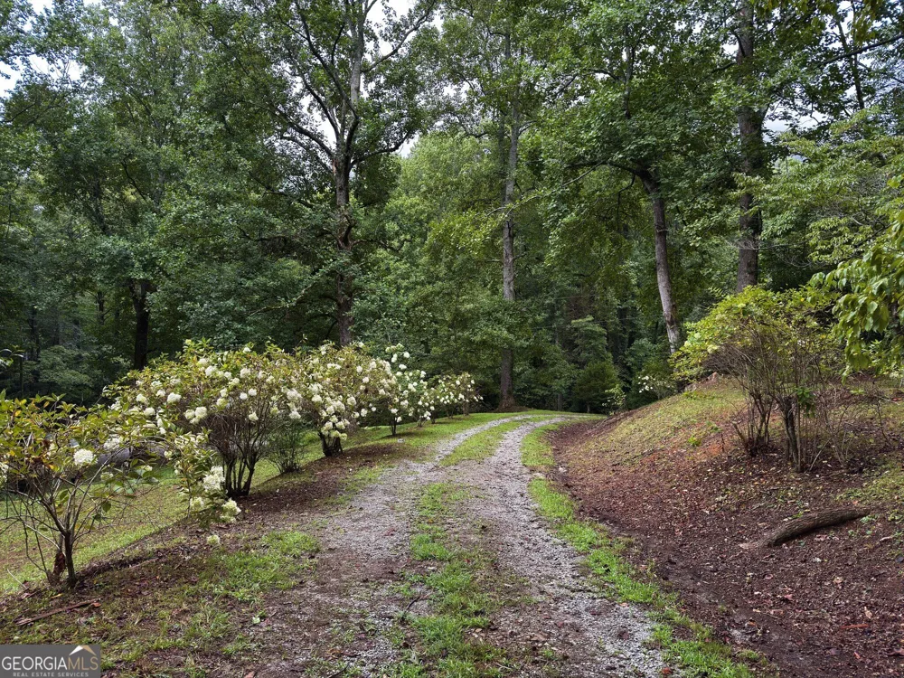 31 Bear Creek LN Clayton, GA 30525