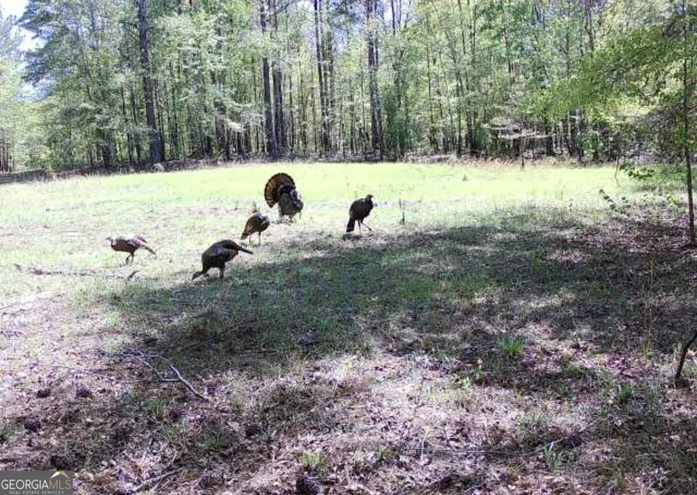 0 Oak Valley DR Macon, GA 31217
