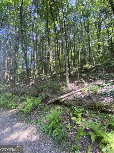 HEMLOCK Hemlock TRL