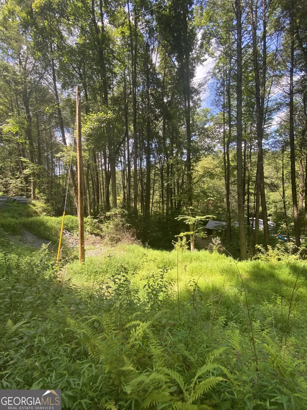 HEMLOCK Hemlock TRL Blue Ridge, GA 30513