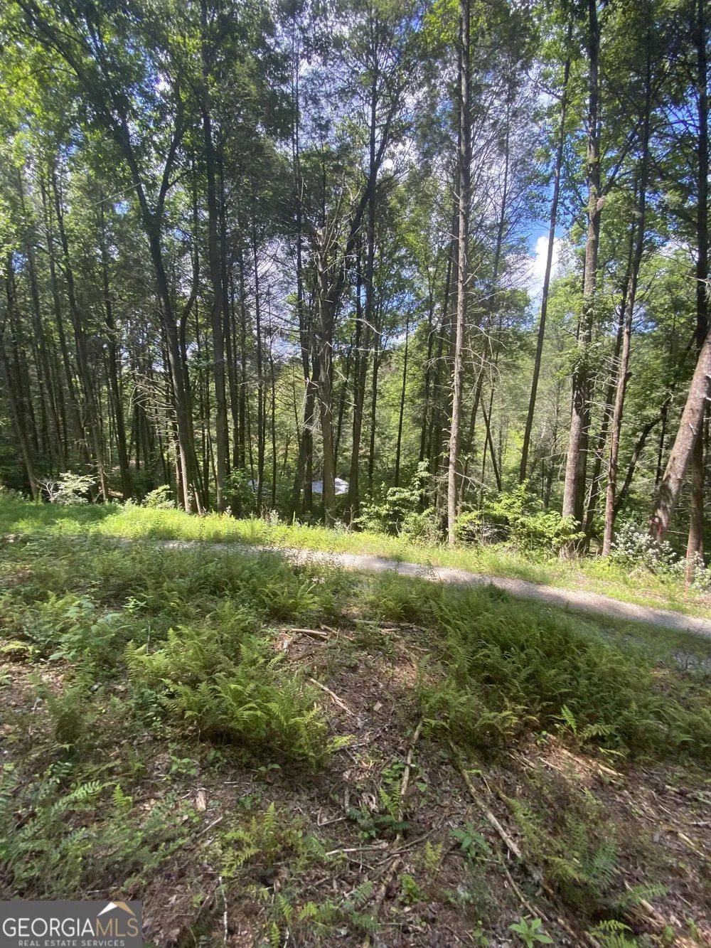 HEMLOCK Hemlock TRL Blue Ridge, GA 30513