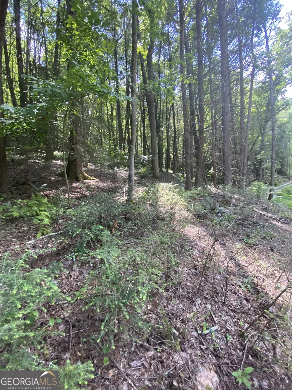 HEMLOCK Hemlock TRL Blue Ridge, GA 30513