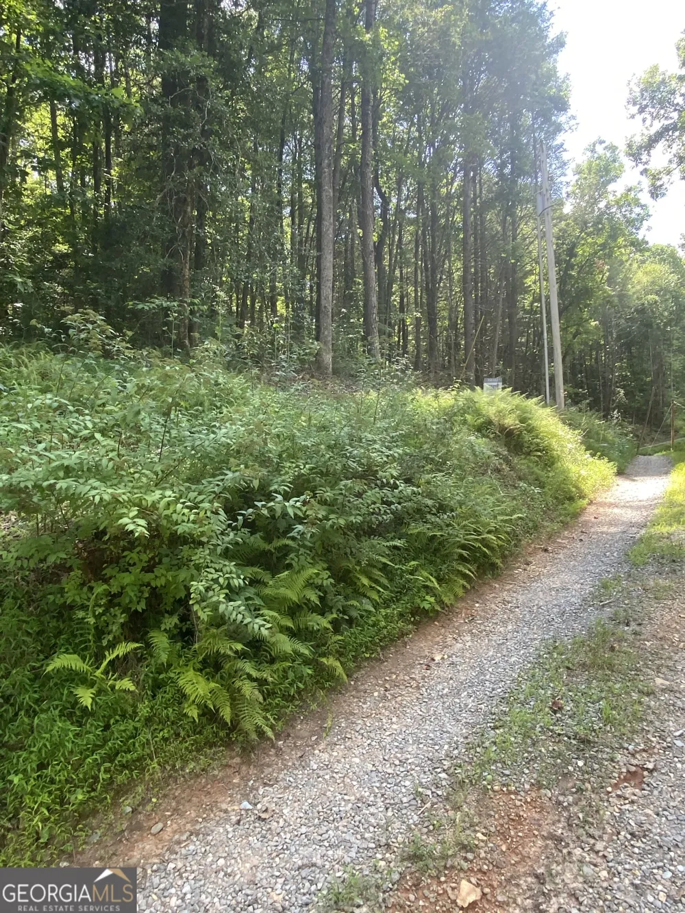 HEMLOCK Hemlock TRL Blue Ridge, GA 30513