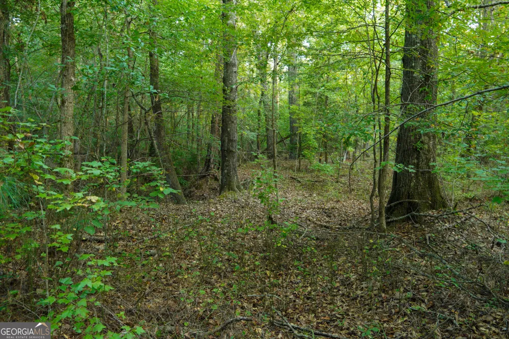 110 & 200 McCullar Weaver RD Milledgeville, GA 31061