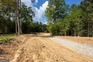 7704 Georgia Highway 100 Buchanan, GA 30113
