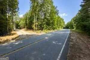 7704 Georgia Highway 100 Buchanan, GA 30113