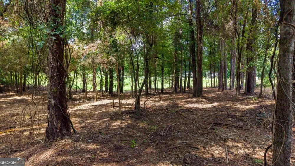 1034 Greensboro RD Eatonton, GA 31024