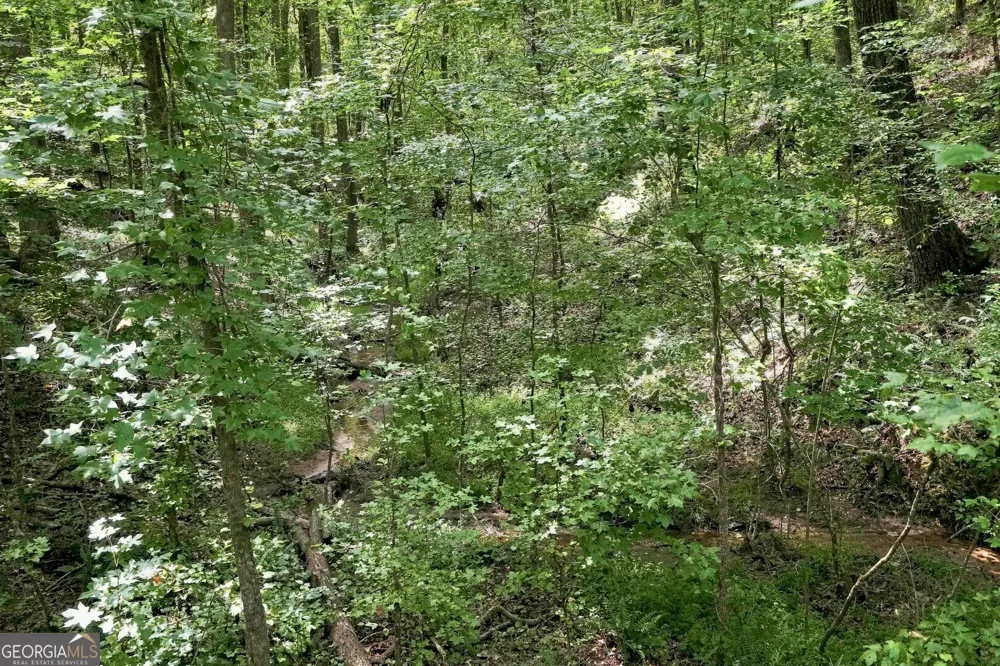 0 Shadow Wood DR Monroe, GA 30656