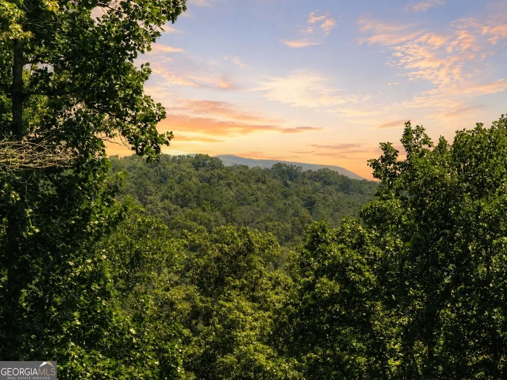 196 N Jakes Landing WAY Ellijay, GA 30540