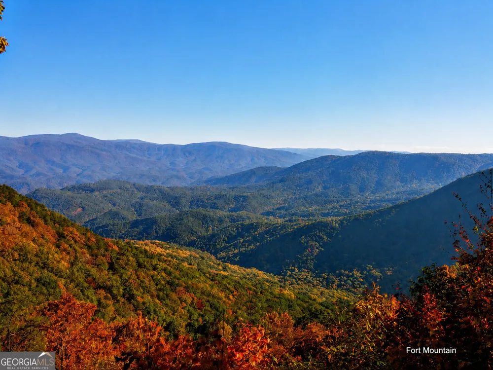 196 N Jakes Landing WAY Ellijay, GA 30540
