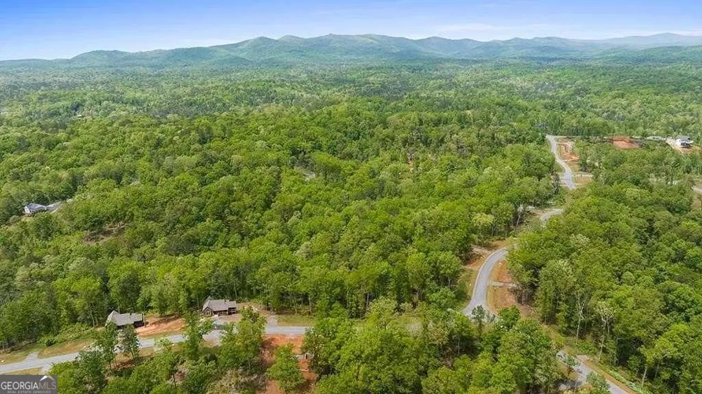 196 N Jakes Landing WAY Ellijay, GA 30540