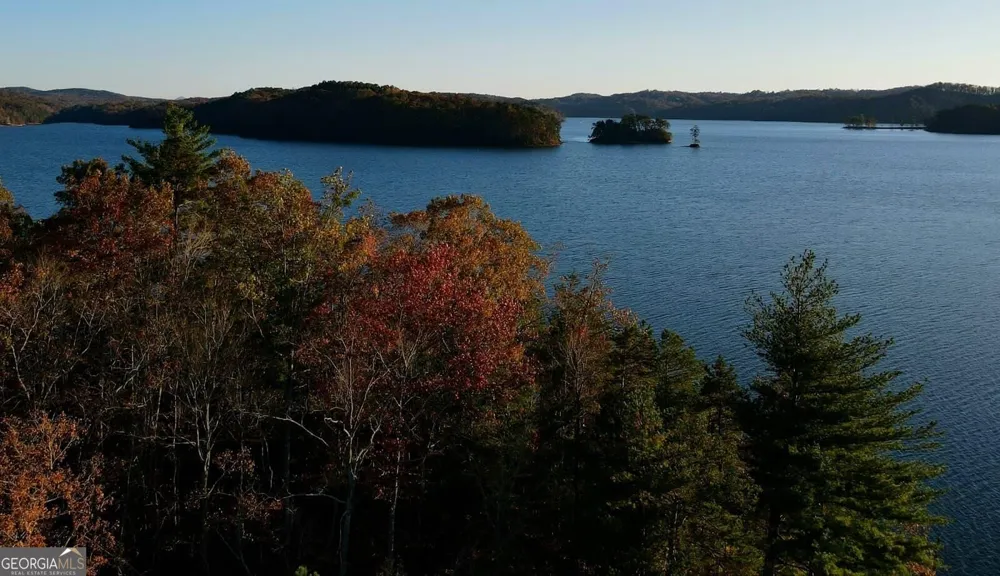 196 N Jakes Landing WAY Ellijay, GA 30540