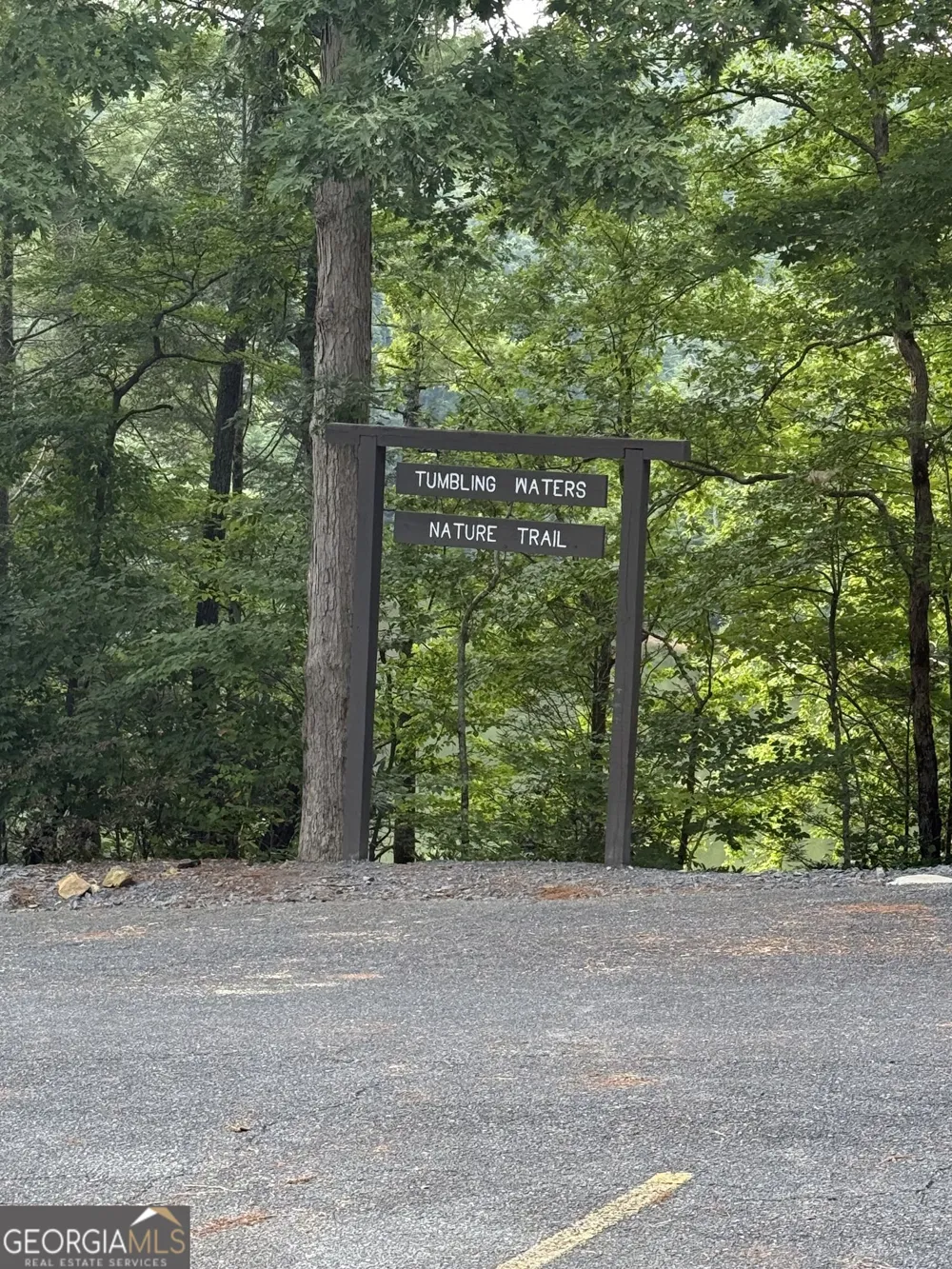 196 N Jakes Landing WAY Ellijay, GA 30540