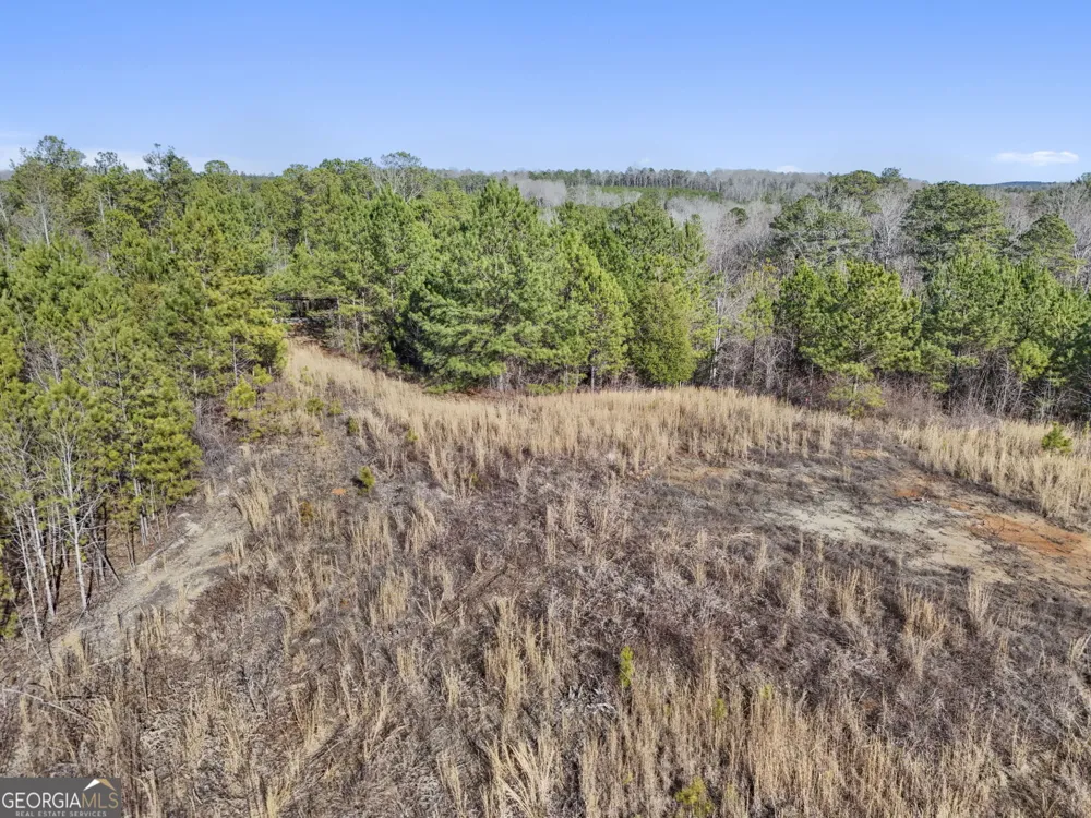 52.2 AC Franklin PKWY Franklin, GA 30217