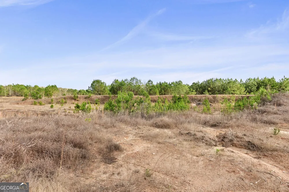 52.2 AC Franklin PKWY Franklin, GA 30217
