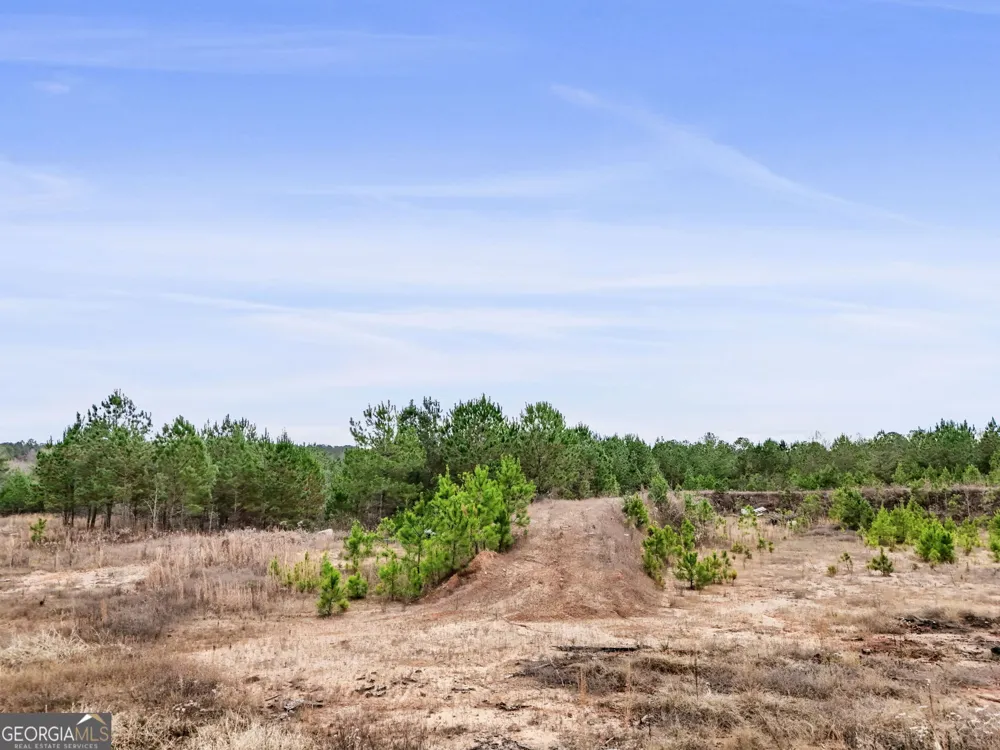 52.2 AC Franklin PKWY Franklin, GA 30217