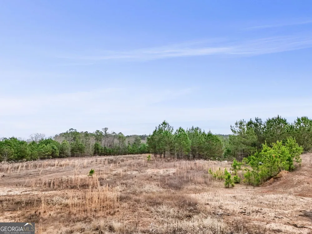52.2 AC Franklin PKWY Franklin, GA 30217