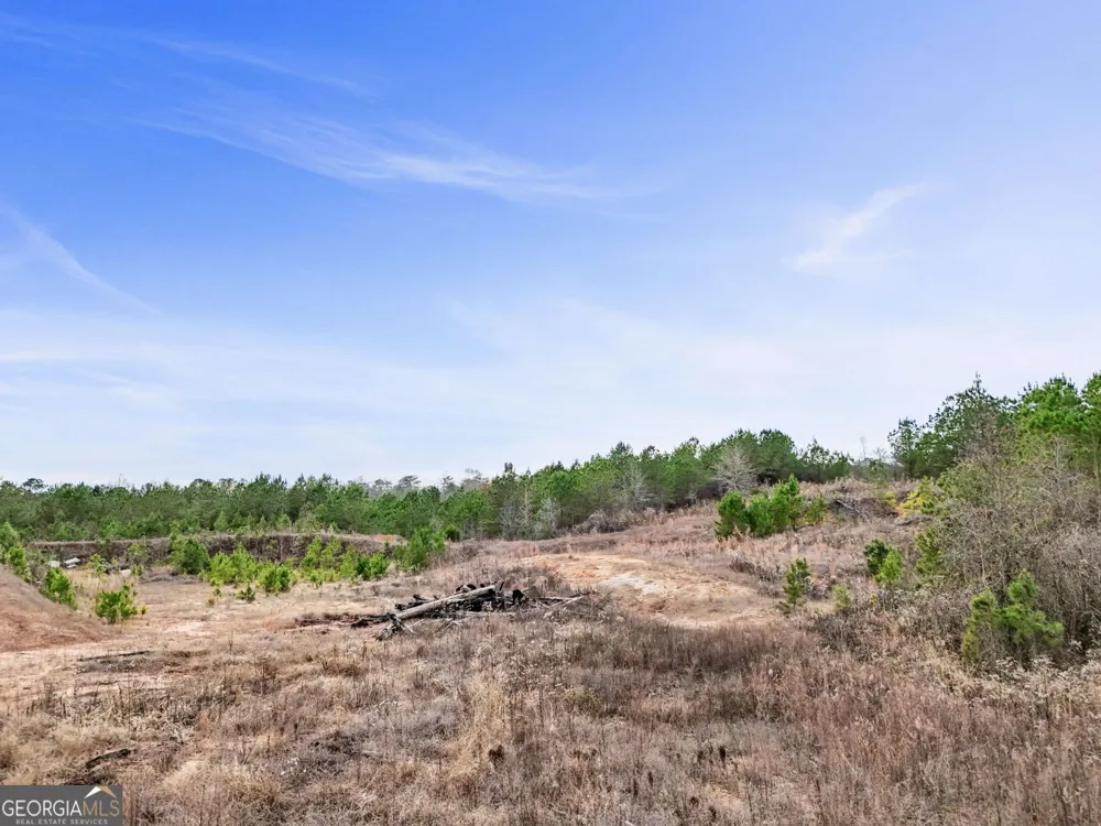 52.2 AC Franklin PKWY Franklin, GA 30217