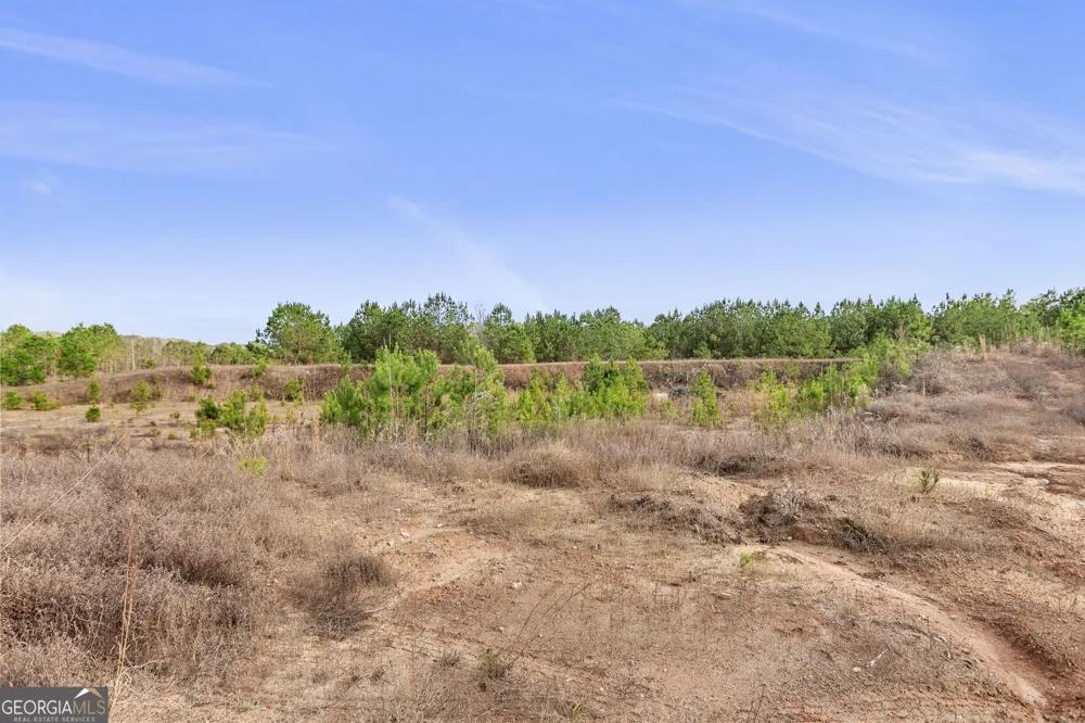 52.2 AC Franklin PKWY Franklin, GA 30217