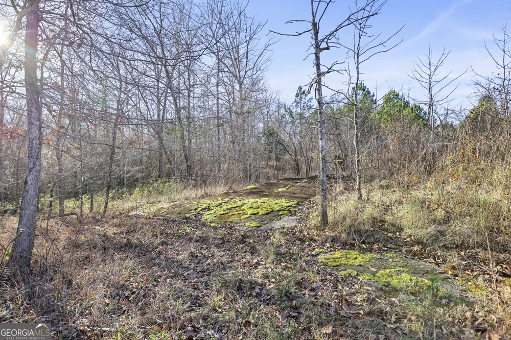 52.2 AC Franklin PKWY Franklin, GA 30217