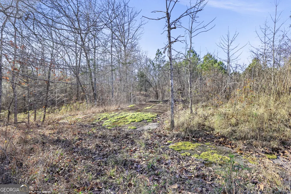 52.2 AC Franklin PKWY Franklin, GA 30217