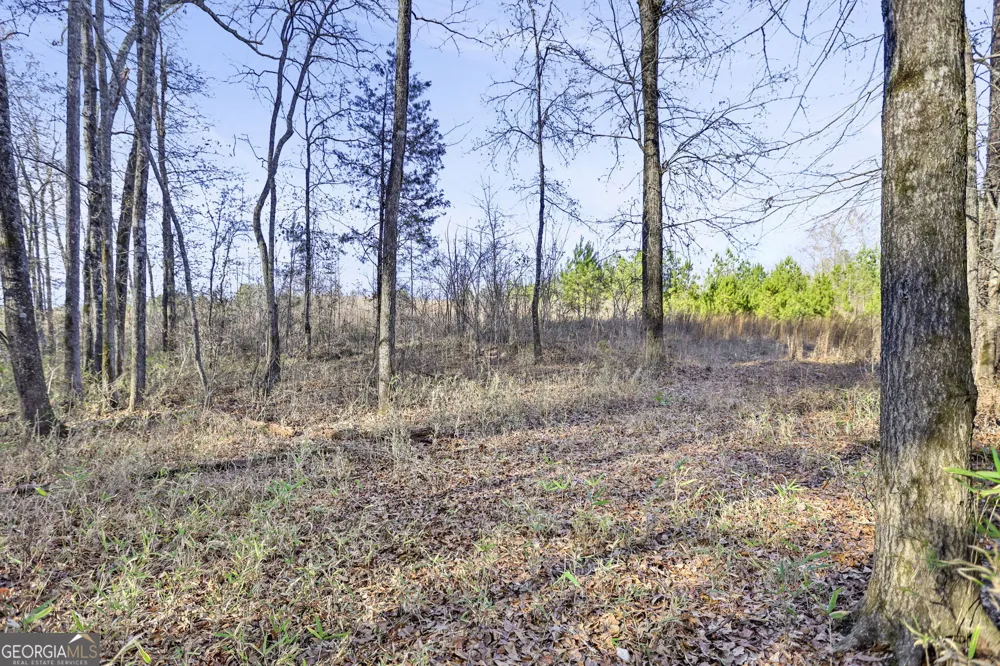 52.2 AC Franklin PKWY Franklin, GA 30217