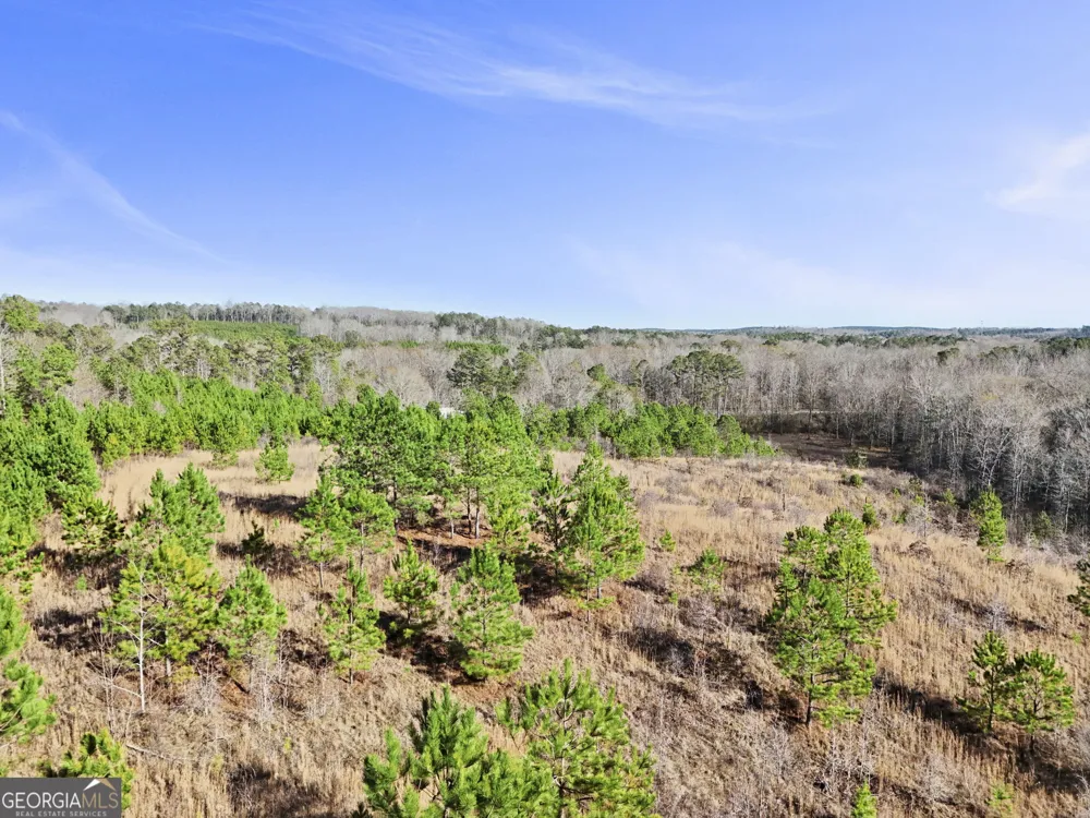 52.2 AC Franklin PKWY Franklin, GA 30217