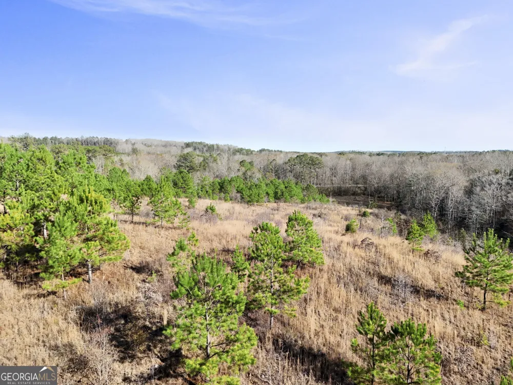 52.2 AC Franklin PKWY Franklin, GA 30217