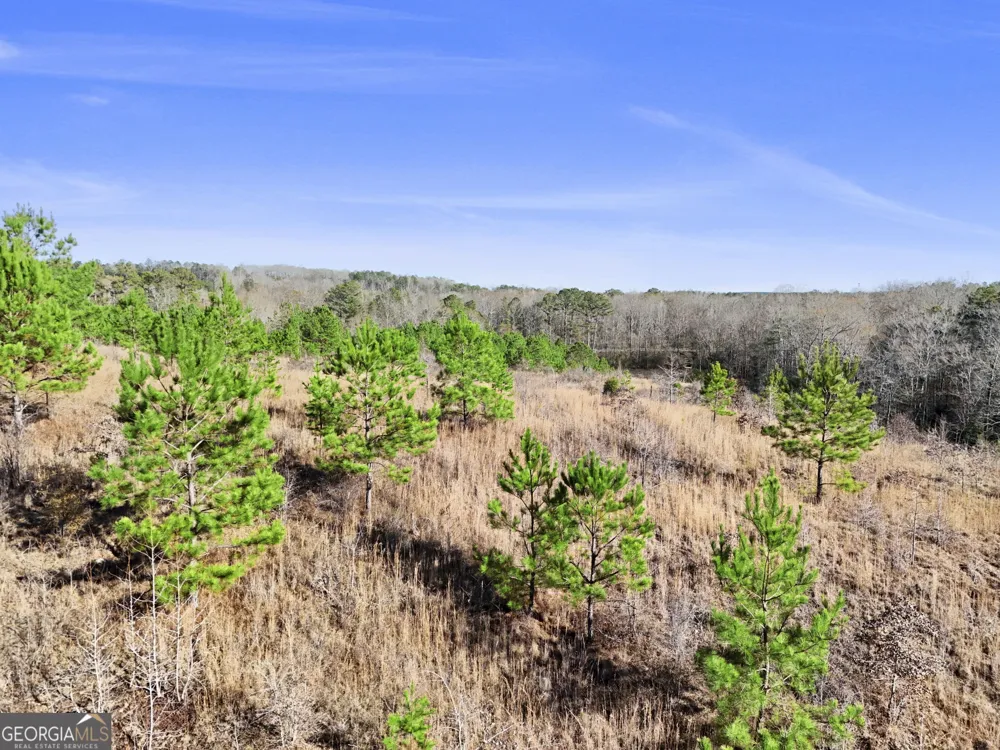 52.2 AC Franklin PKWY Franklin, GA 30217