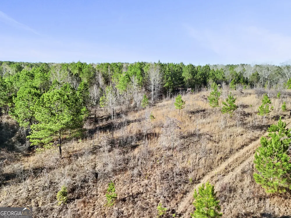 52.2 AC Franklin PKWY Franklin, GA 30217